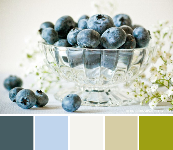 Blueberry Color Palette