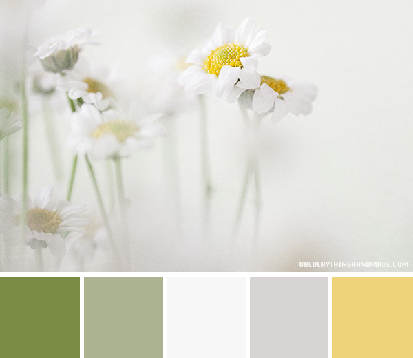 Color Palette Daisy